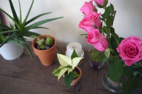 Pflanzen und Blumen auf dem Tisch | raupenblau