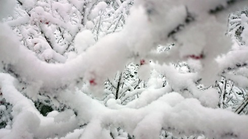 Almwanderung Brauneck im Schnee | raupenblau