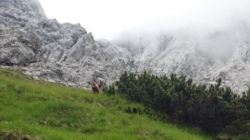 Alpspitze durch die Höllentalklamm | raupenblau